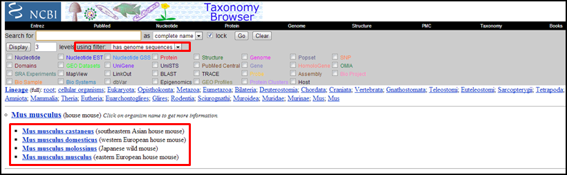 Taxonomy4.png