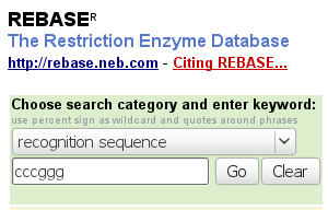 Rebase select.png