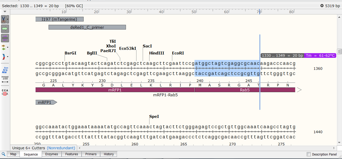 align multiple sequences in snapgene viewer