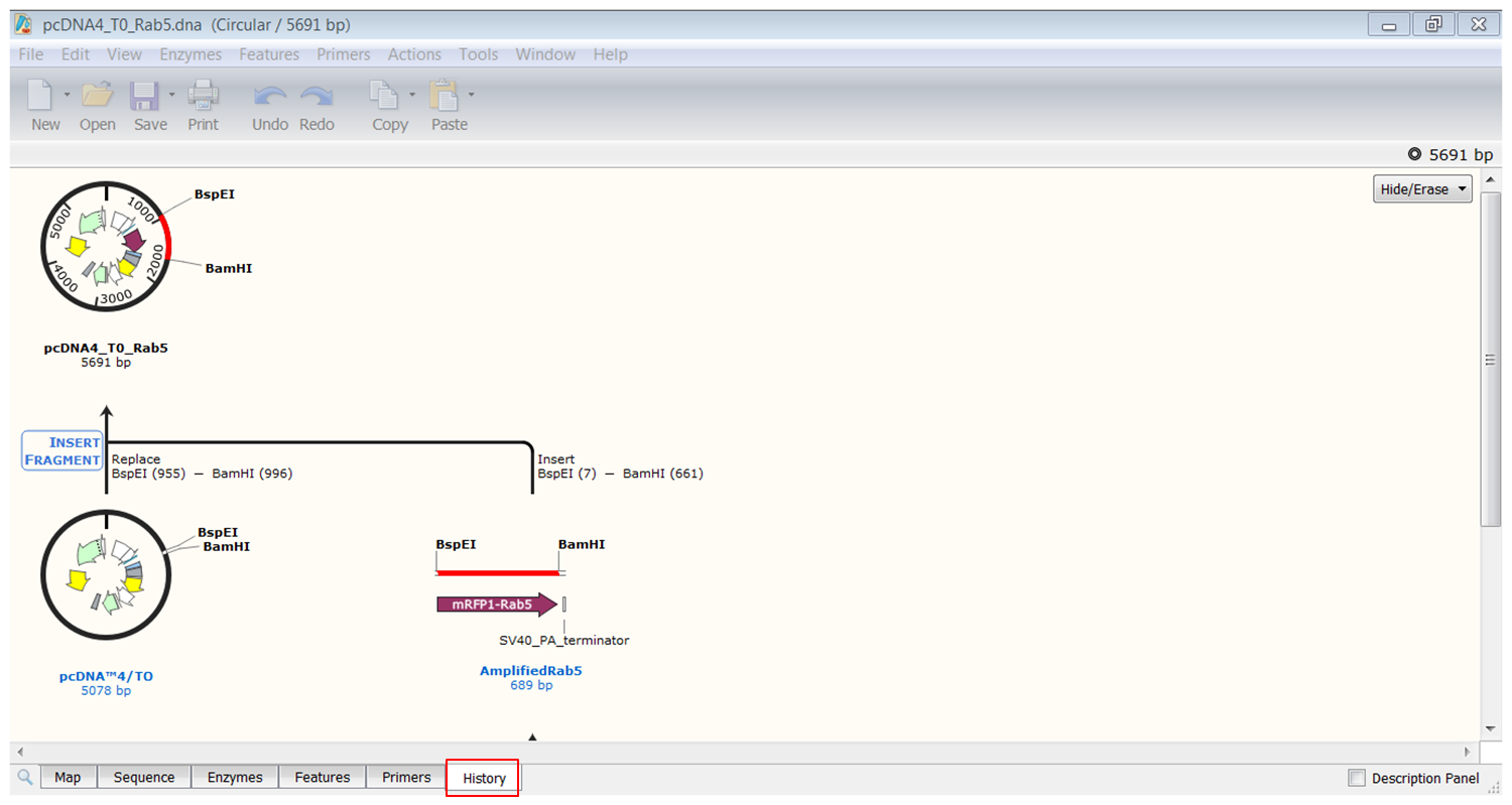 align multiple sequences in snapgene viewer